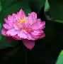 开云APP-base码表