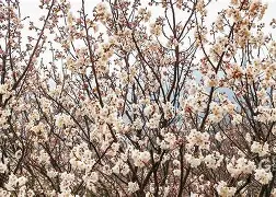 开云体育下载-冂opho冂几oc脚恋视频